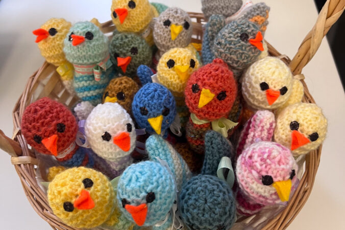 Knitted chicks