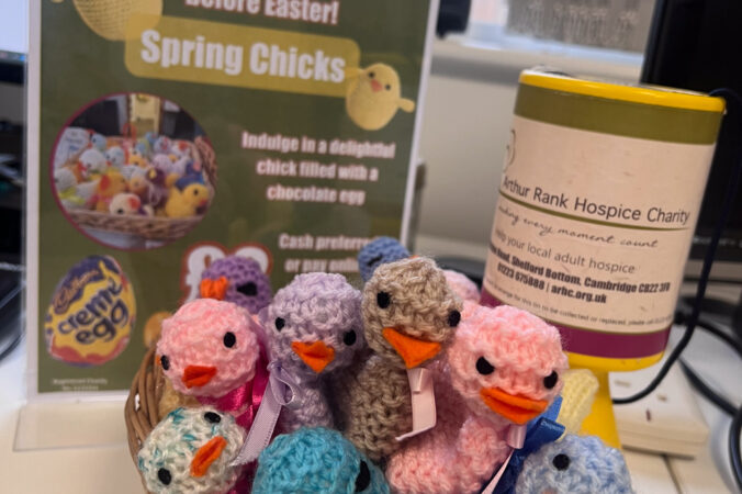 Knitted chicks