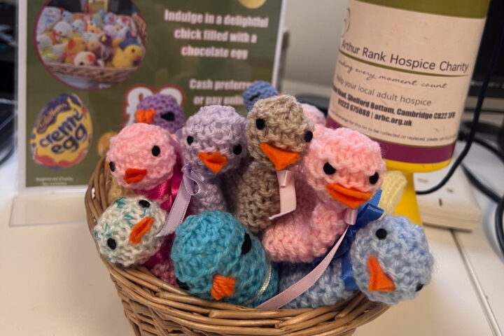 Knitted chicks