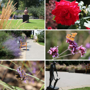 Garden images 