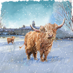 Wandlebury Highland Cow - Pack of 10 Christmas Cards with Enevlopes