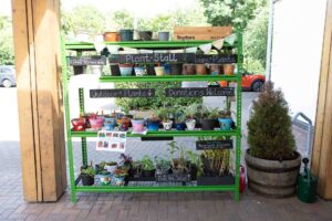 Green plant stall 