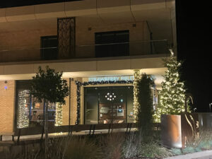 Building with Christmas lights and trees