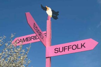 blue sky pink signpost