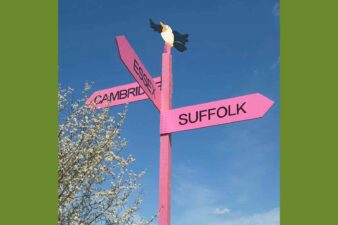 blue sky pink signpost