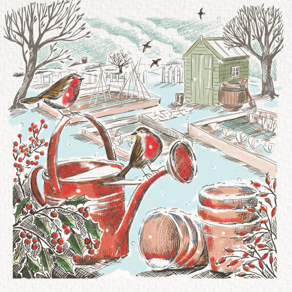 In The Garden - Pack of 10 Christmas Cards & Envelopes