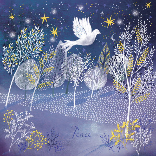 Peaceful Night - Pack of 10 Christmas Cards & Envelopes