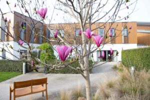 Large building and pink flowers and a bench